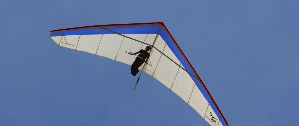 Wills Wing Falcon 4