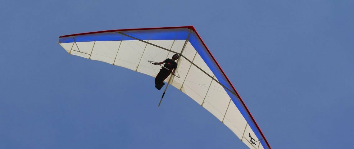 Wills Wing Falcon 4