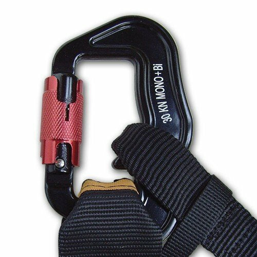 Charly Snaplock Carabiner