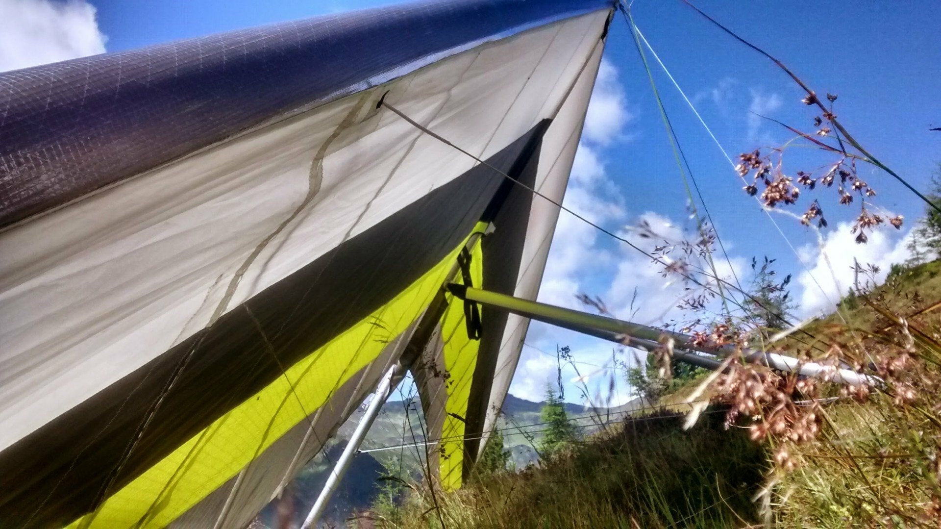 Bautek Kite