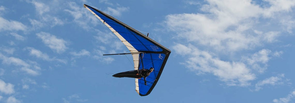 Wills Wings Sport 3