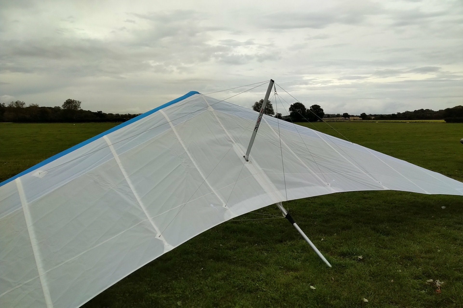 Brand New Wills Wing Falcon 3 195