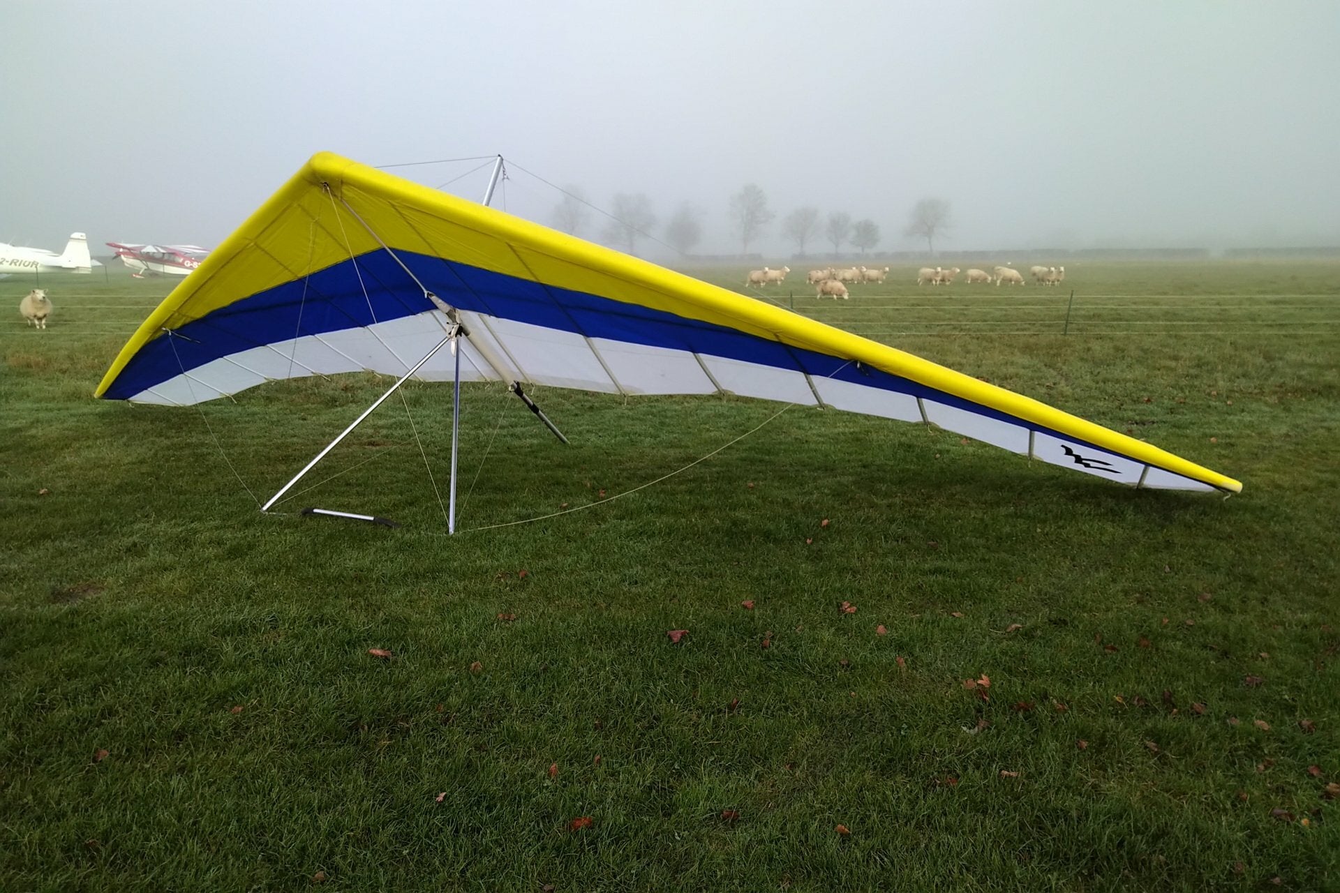 Wills Wing Eagle 164