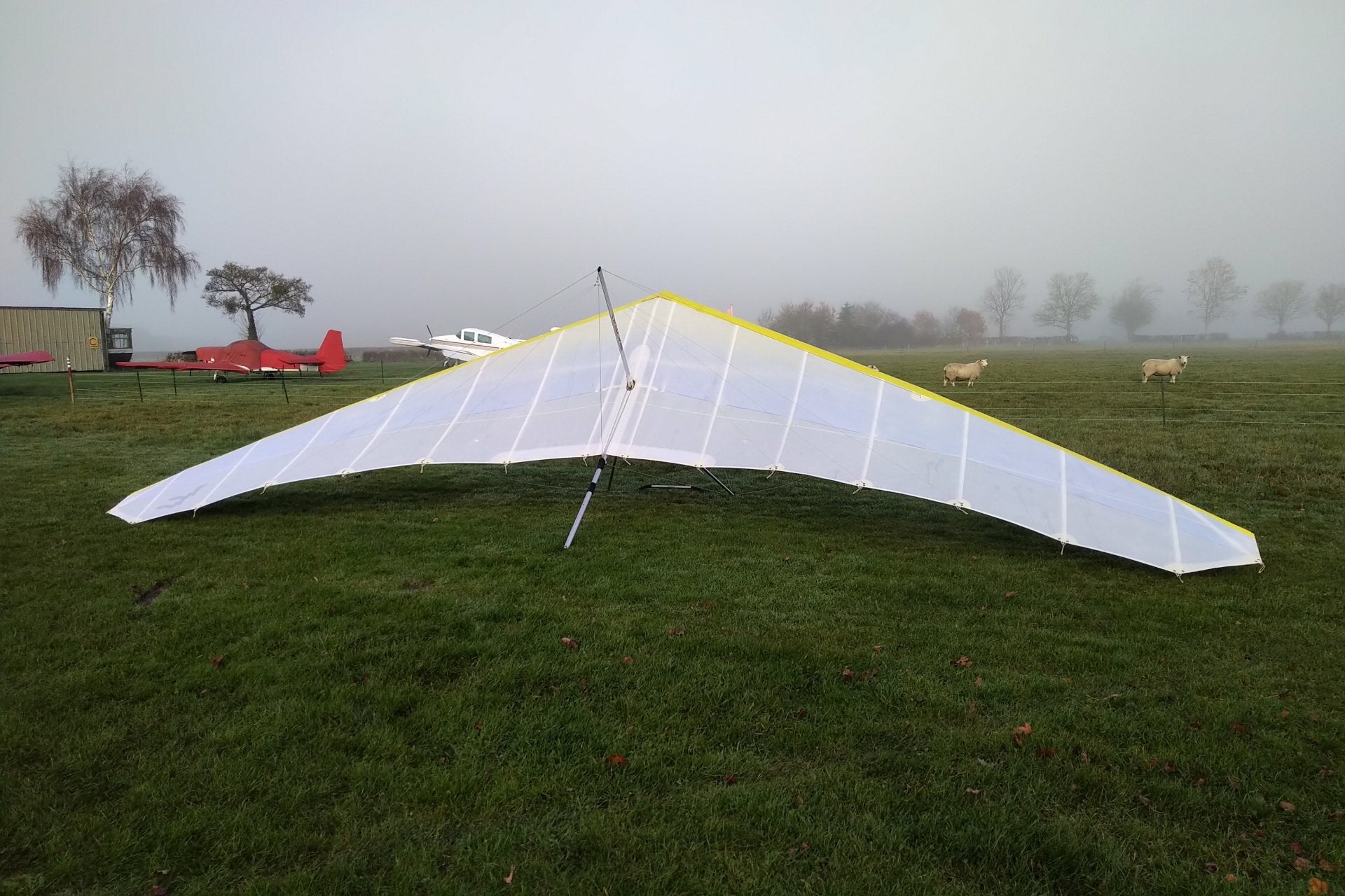 Wills Wing Eagle 164