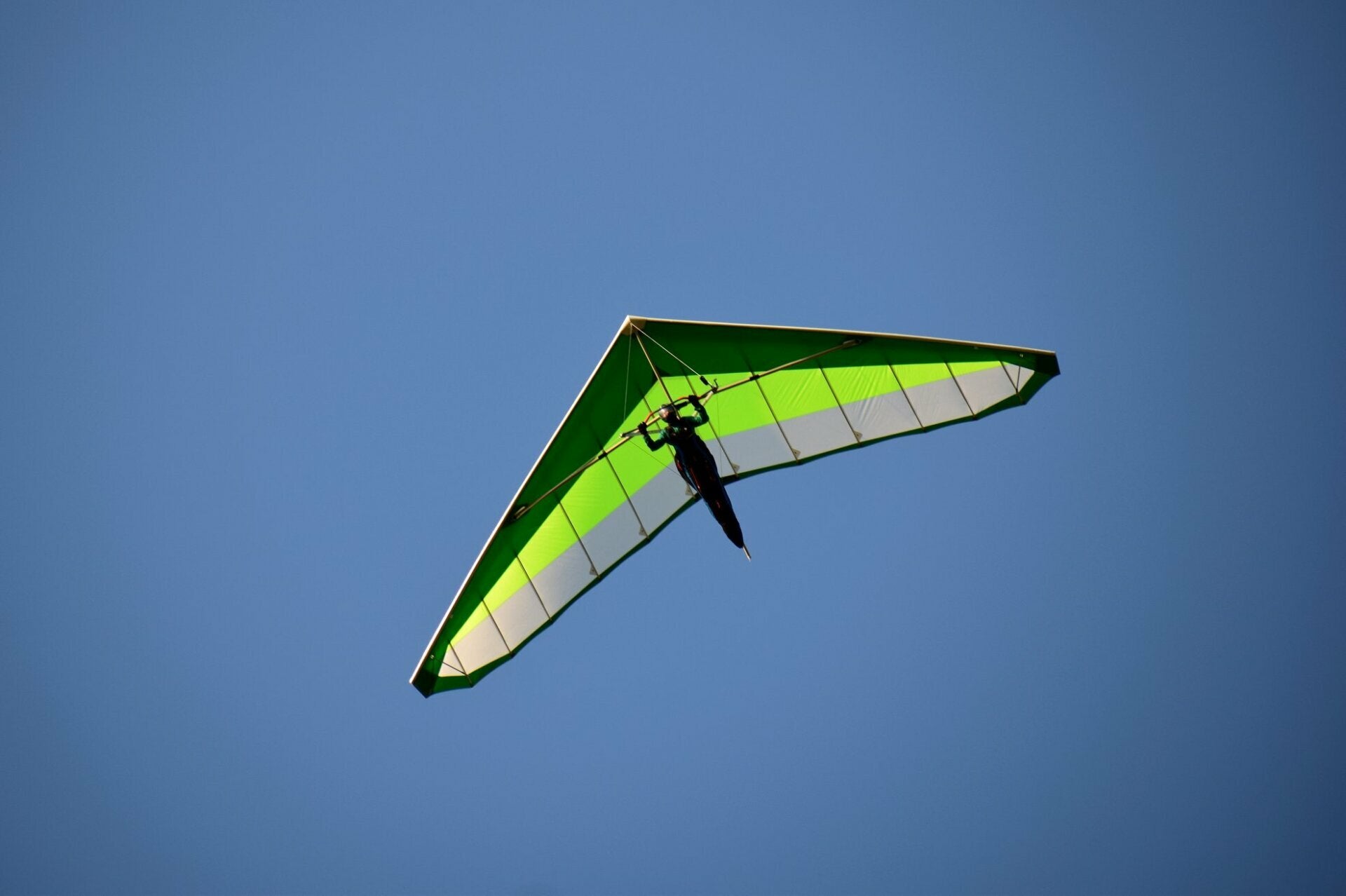 Aeros Fox