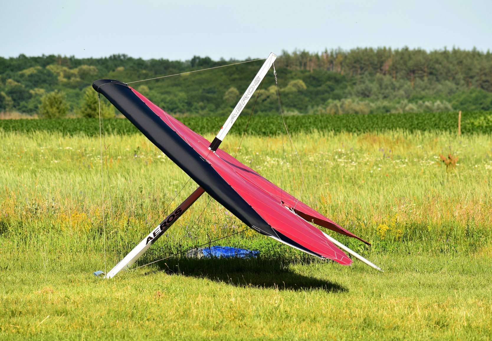 Aeros Discus