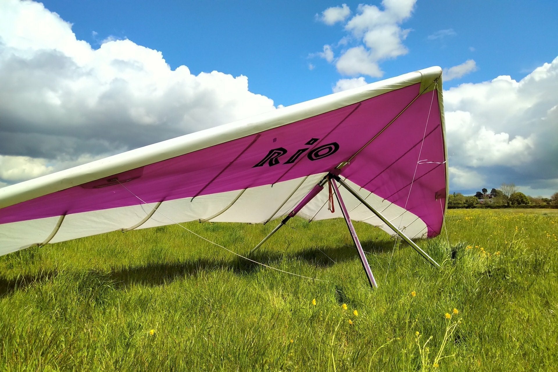 Avian Rio 1 (15)