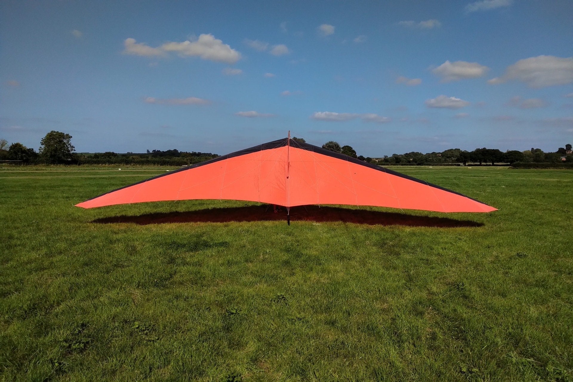 Ex Demo Wills Wing Alpha 235