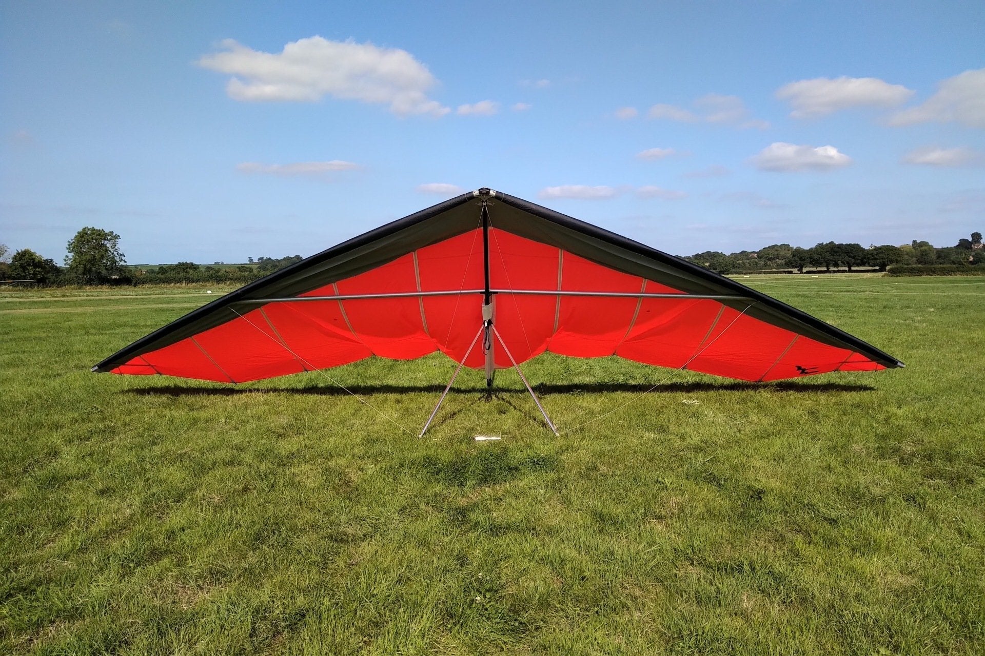 Ex Demo Wills Wing Alpha 235
