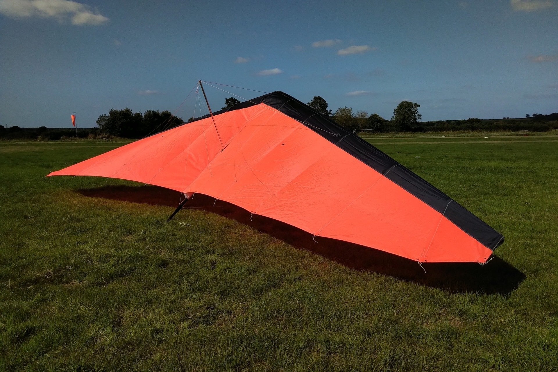Ex Demo Wills Wing Alpha 235
