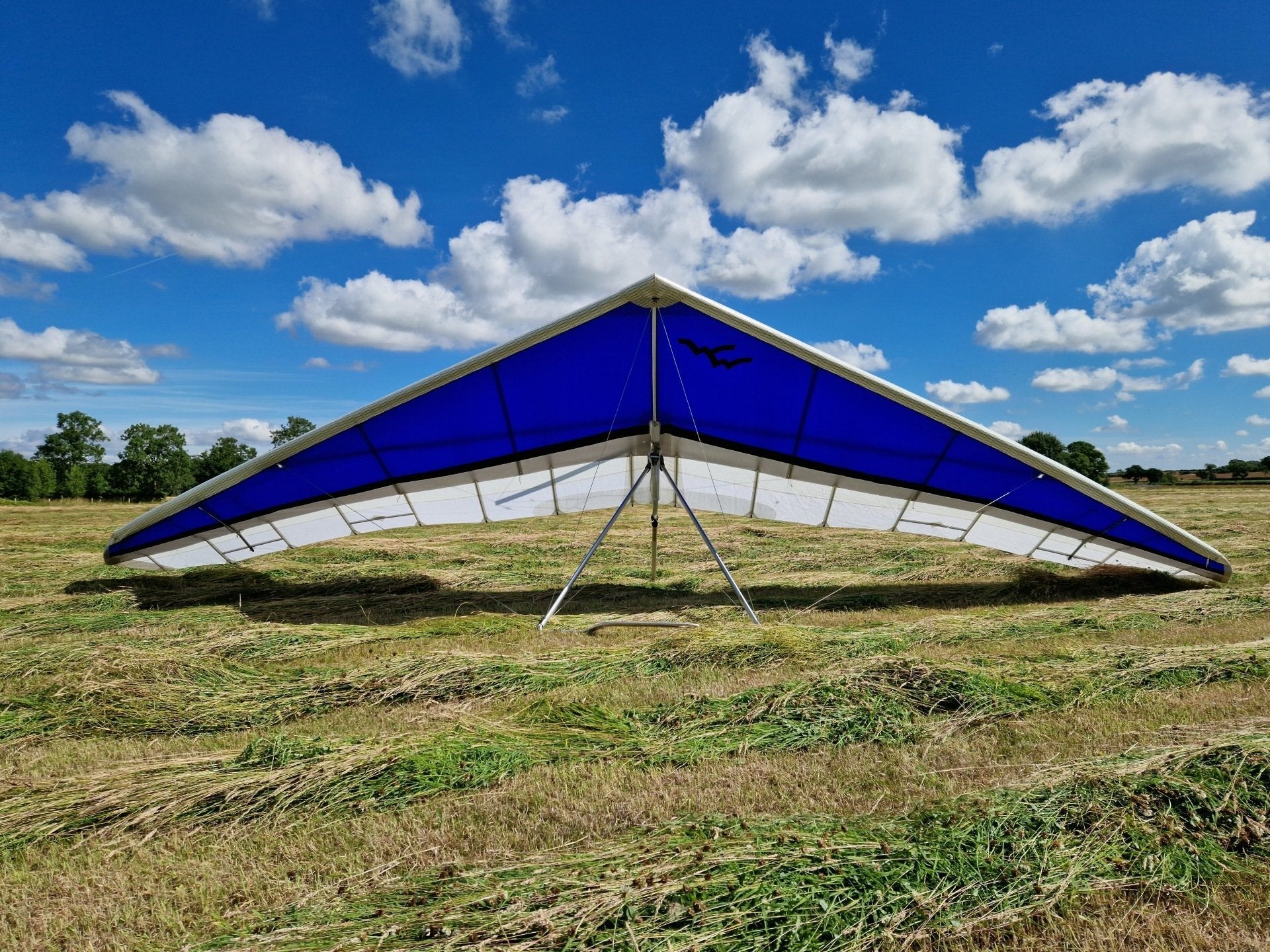 Wills Wing Sport 2 175