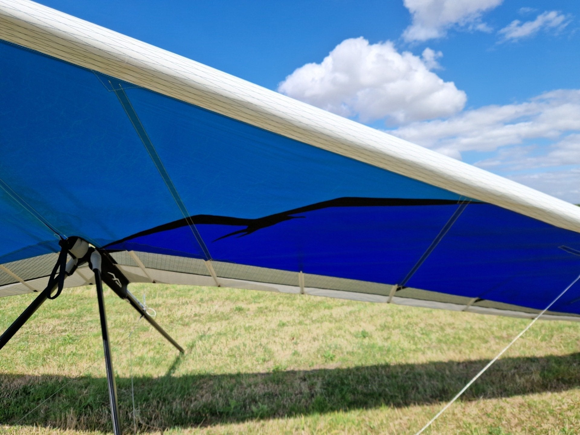 Gecko 170