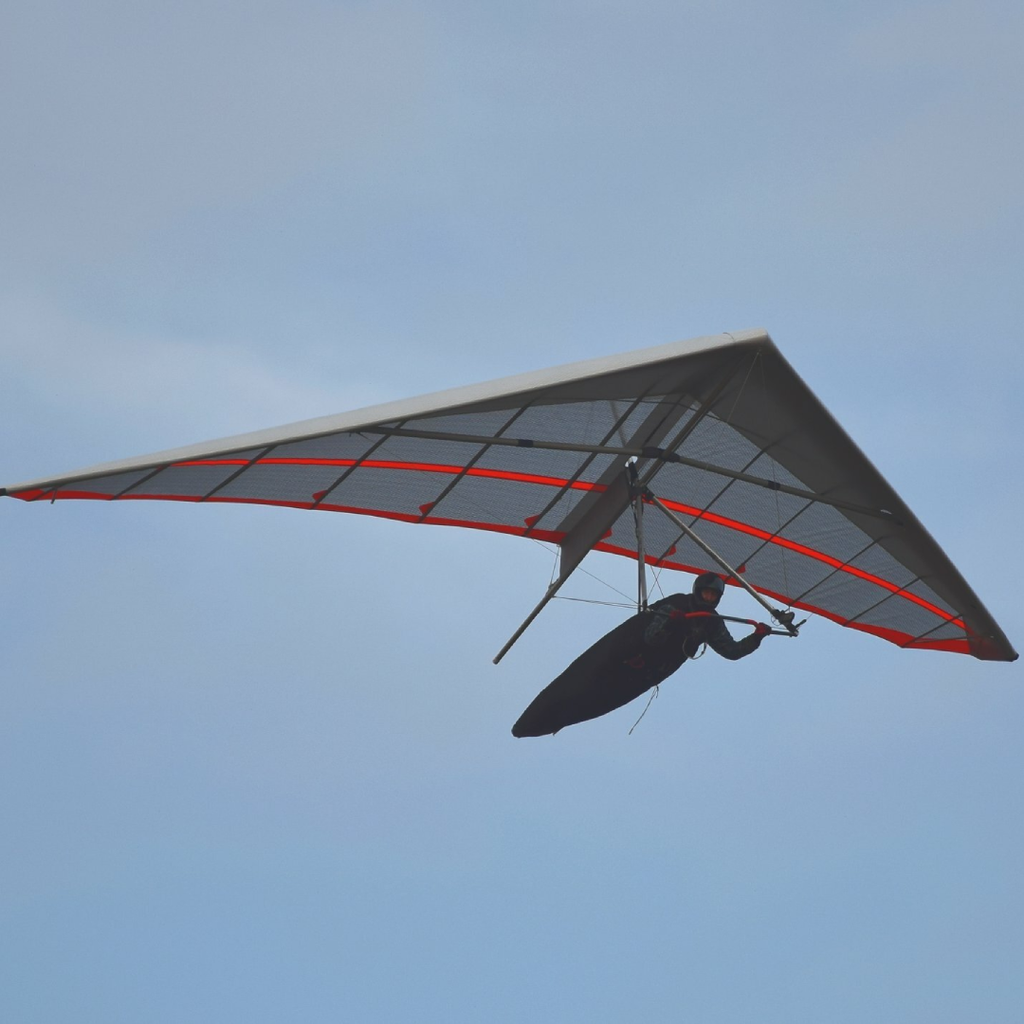 Aeros Fox
