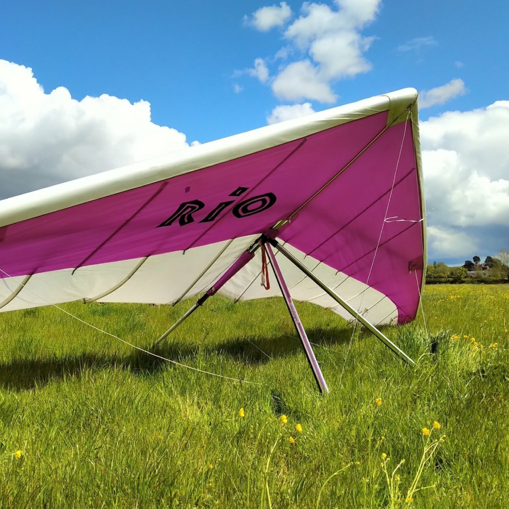 Avian Rio 1 (15)