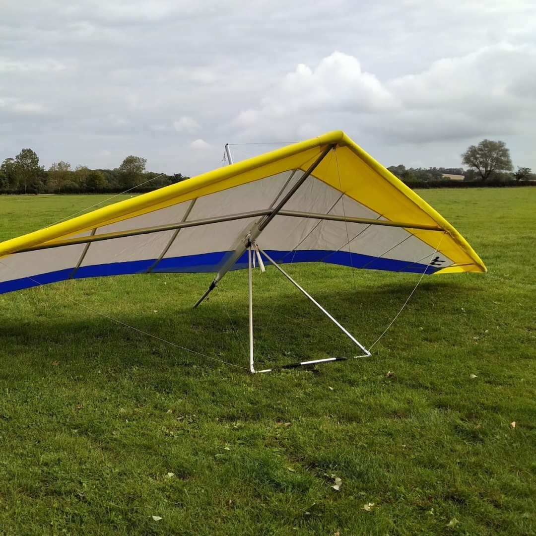 Brand New Wills Wing Falcon 3 195