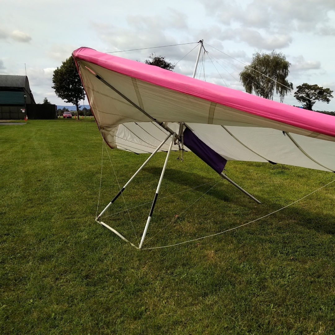 Discovery 195S