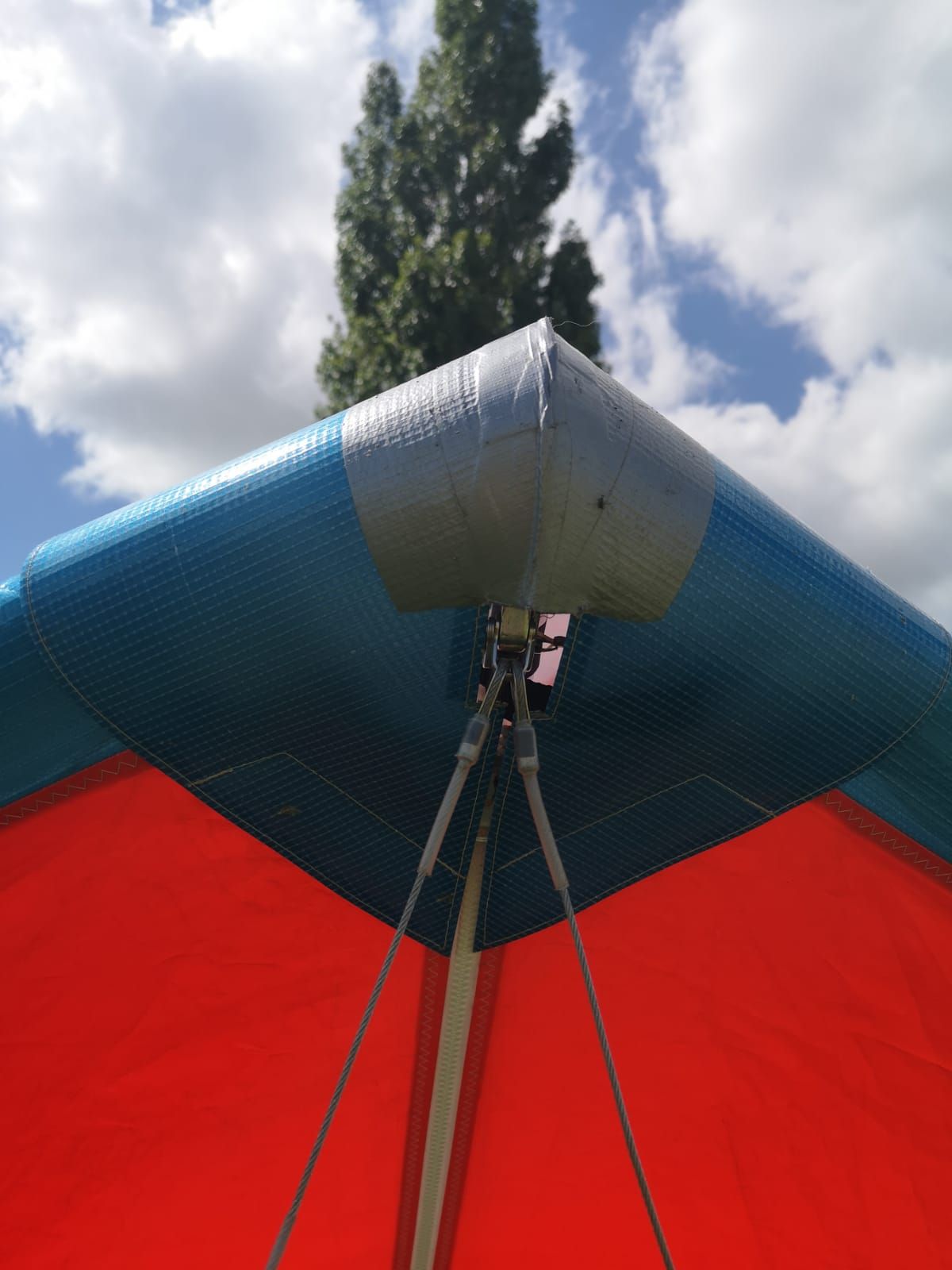 Avian Rio 1 (15)
