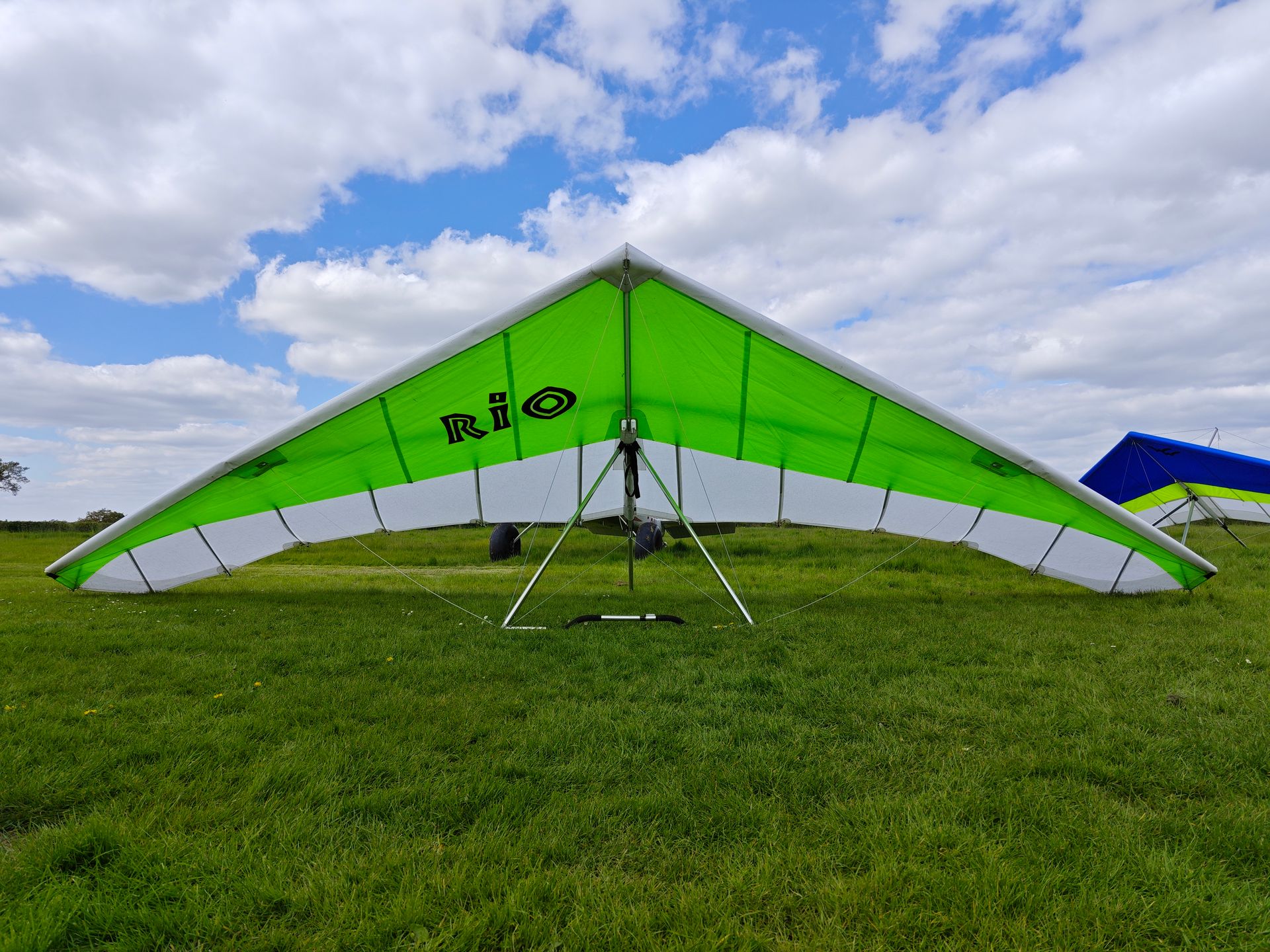 Avian Rio 1 (15)