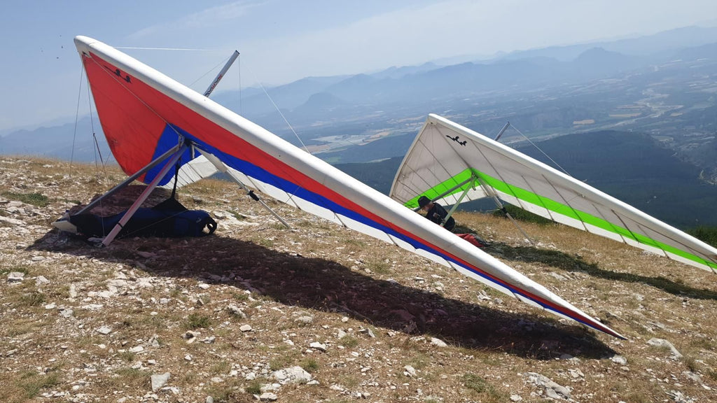 Wills Wing U2 145
