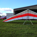 Wills Wing Eagle 145