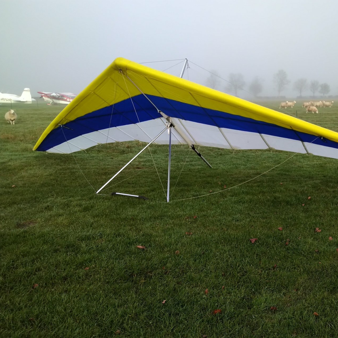 Wills Wing Eagle 164