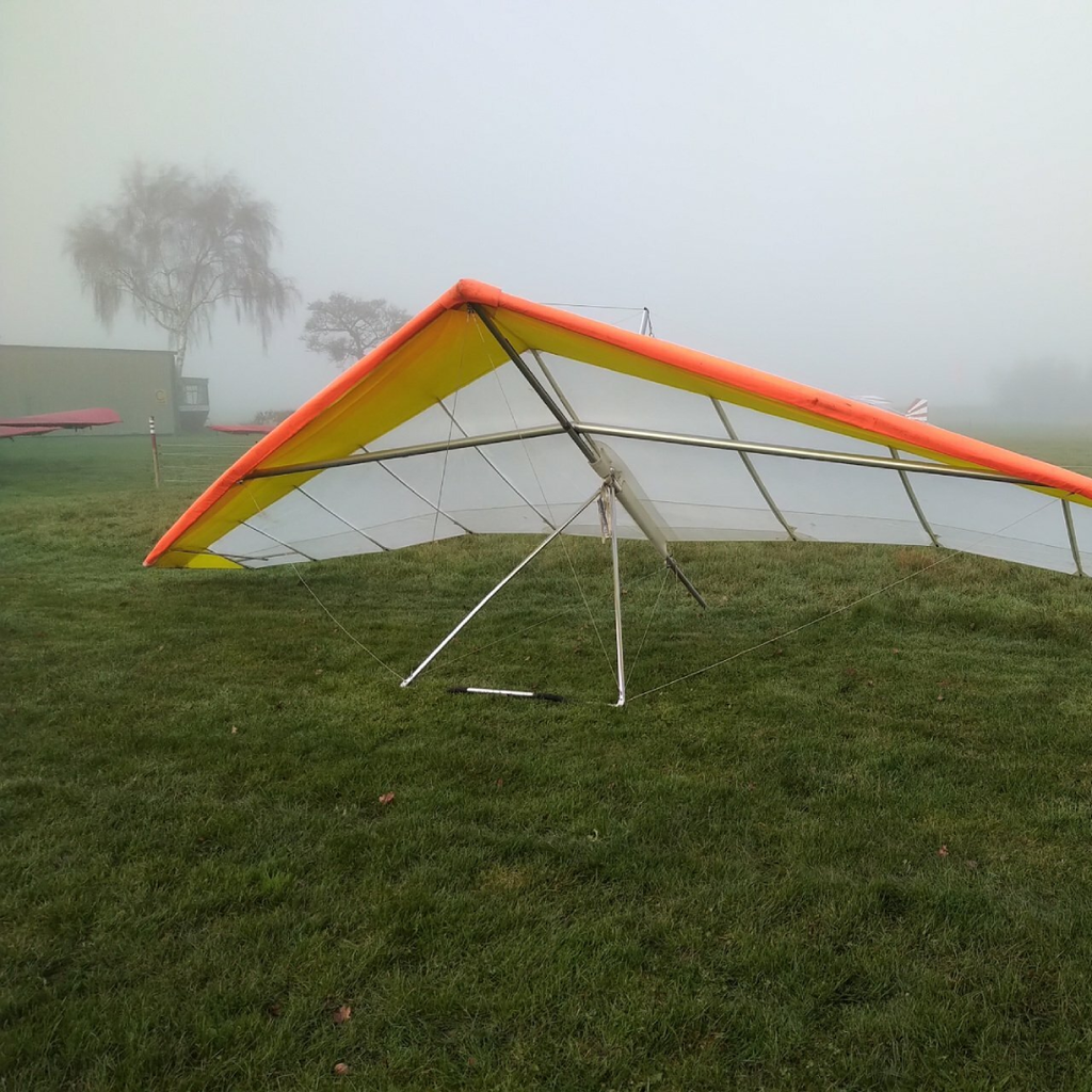 Wills Wing Falcon 3 195