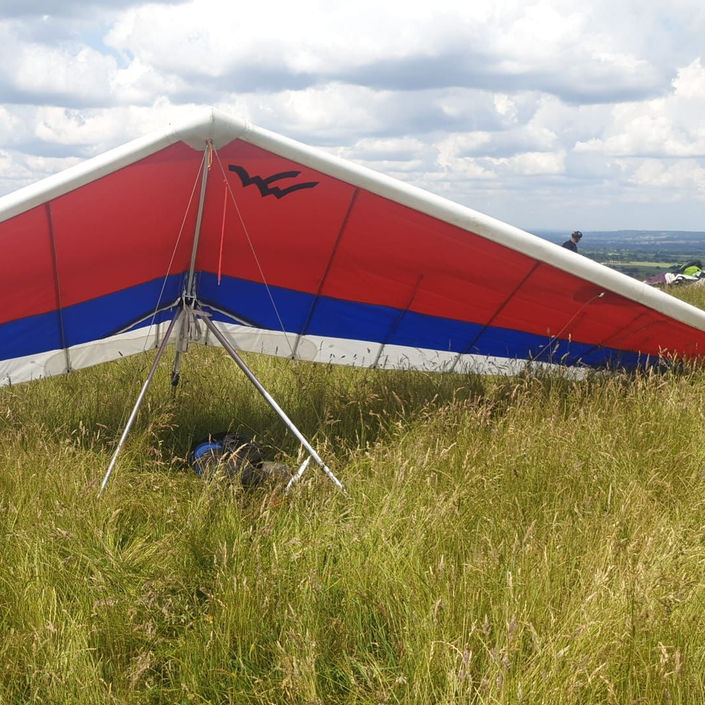 Wills Wing U2 145